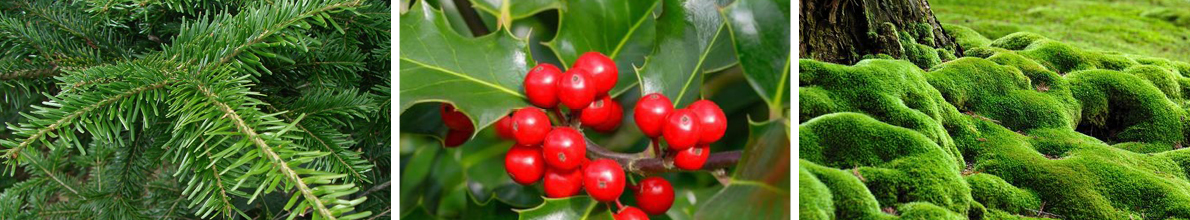 Winter Garland